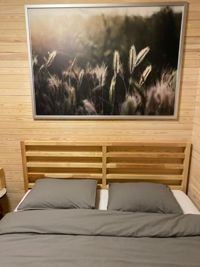 Вилла Tiny House Цесис Экстерьер фото